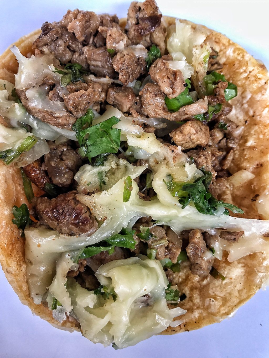 A close up of a steak taco with cheese and cilantro.