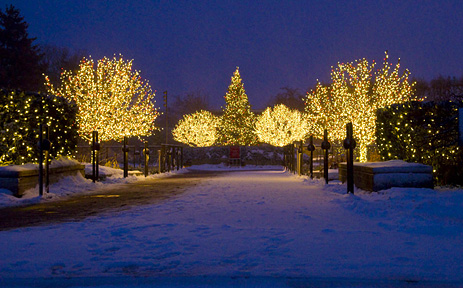 The Chicago Botanic Gardens lit up with Christmas lights and snow is on the ground.