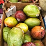 Mangoes.