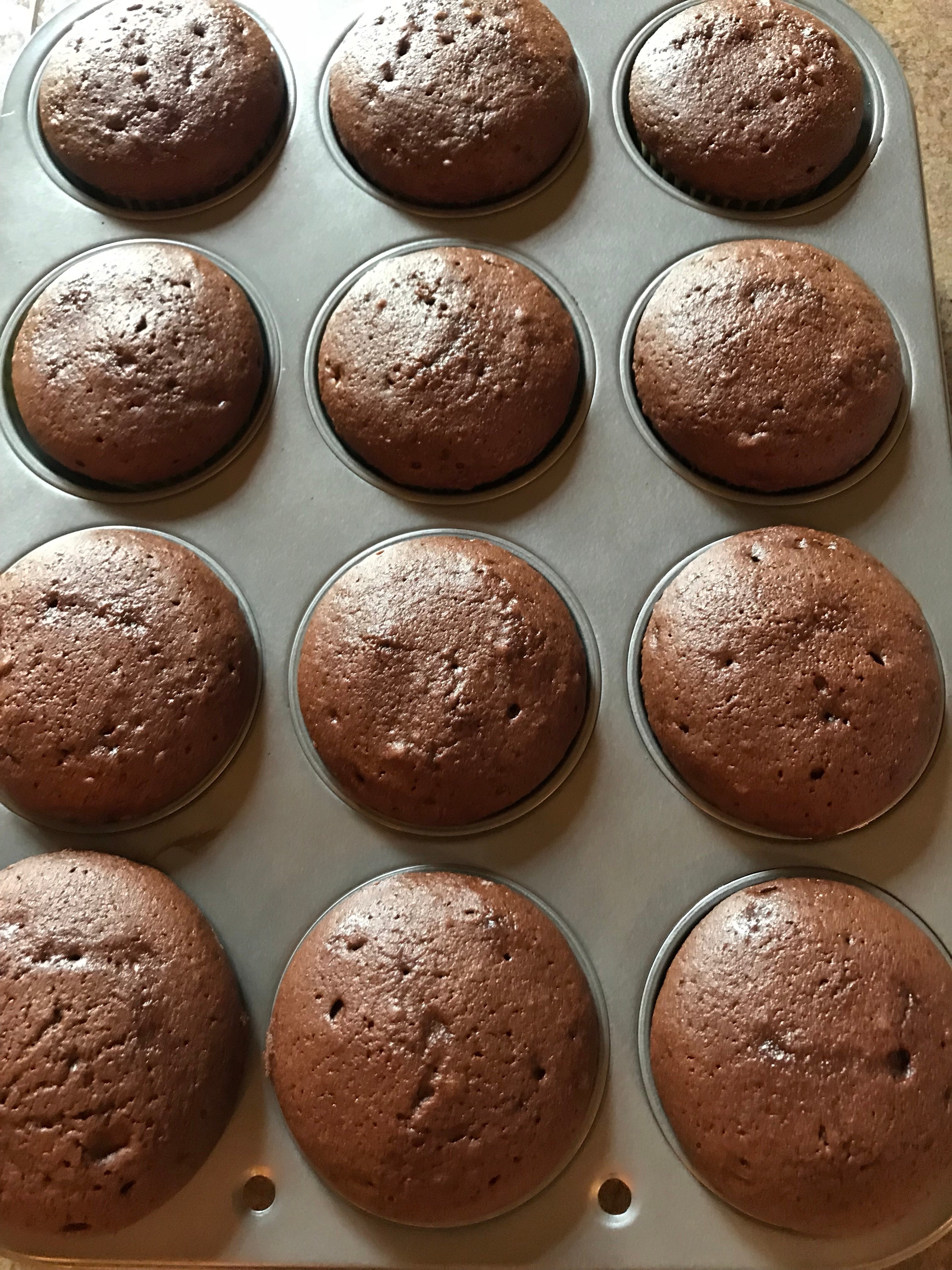 Unfrosted chocolate cupcakes in a cupcake tin.