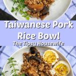 A cover image for Taiwanese Pork Rice Bowl.