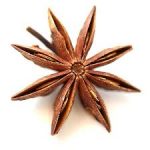 A piece of star anise