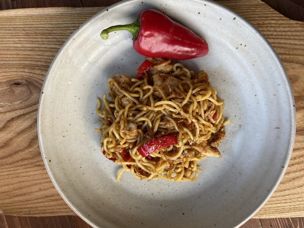 The finished chicken and noodles on a plate