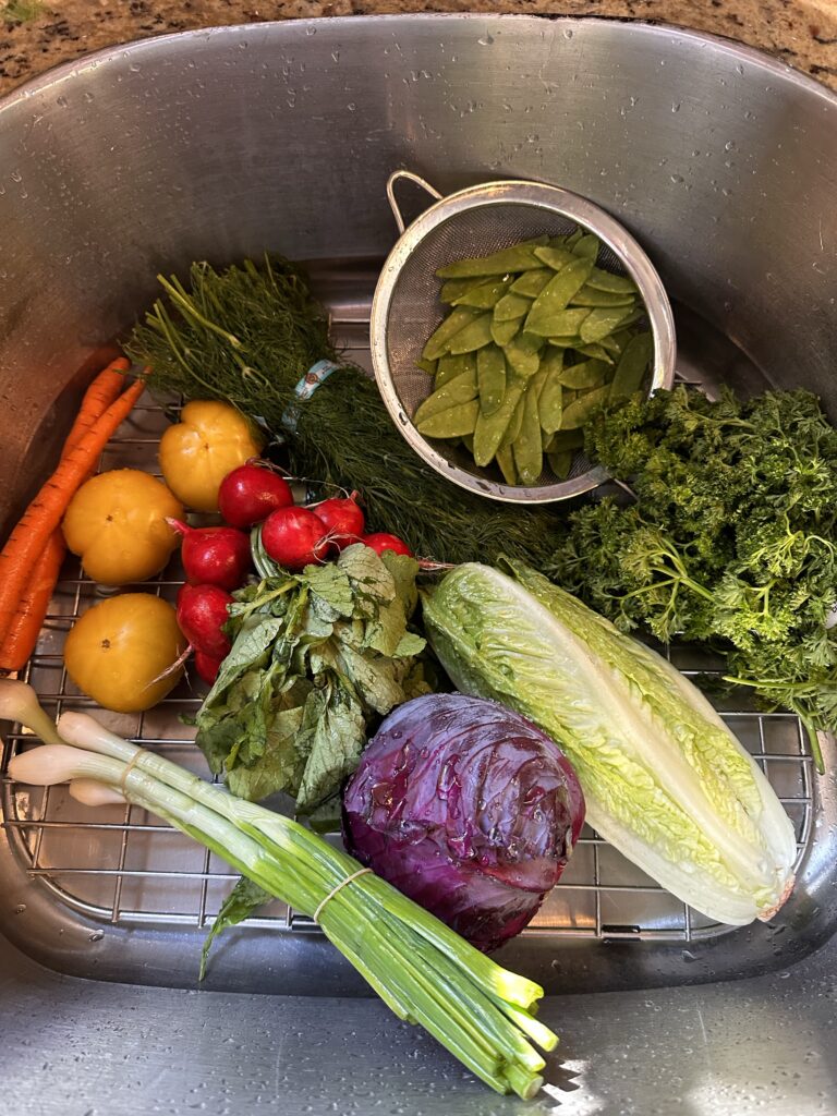 Washed vegetables including radishes, cabbage, snap peas, and carrots