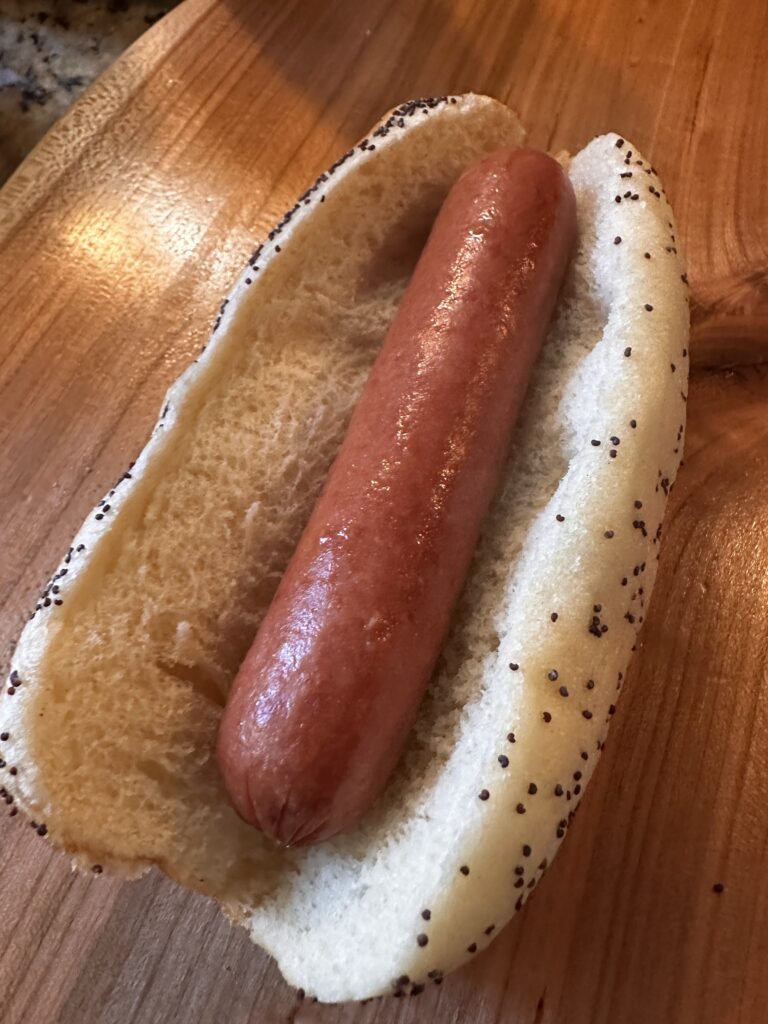 A plain hot dog on a poppy bun