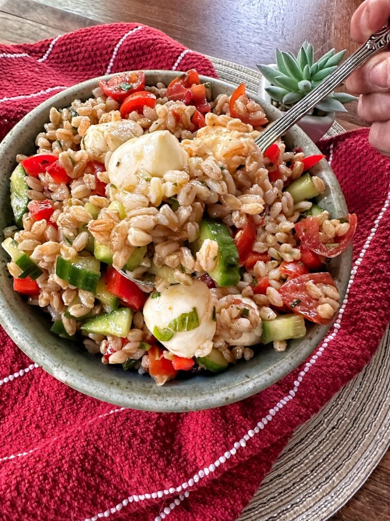 Summer salad with whole grain farro