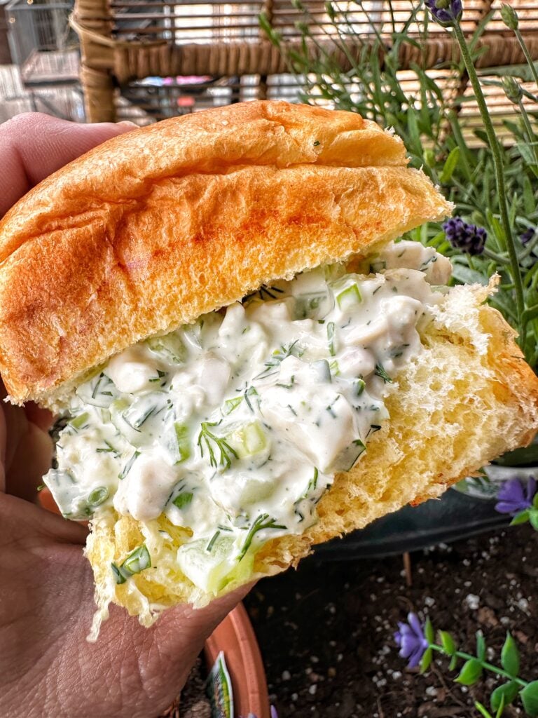 Delicious Chicken Salad on a roll