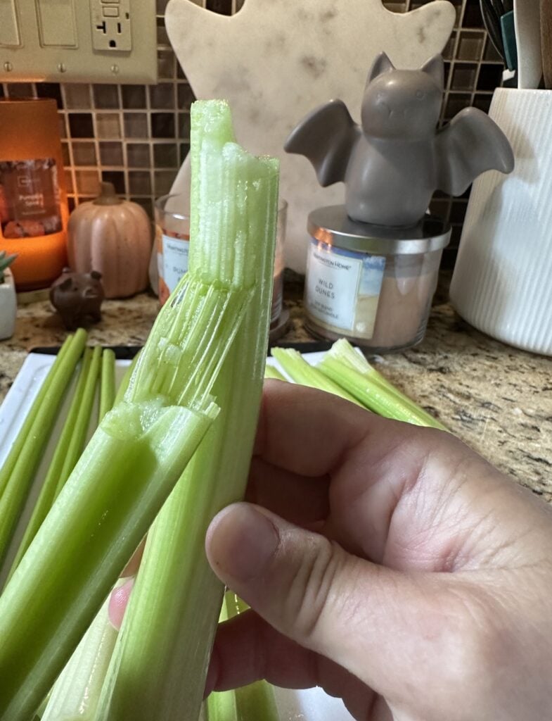 The stringy part of the celery is being pulled away
