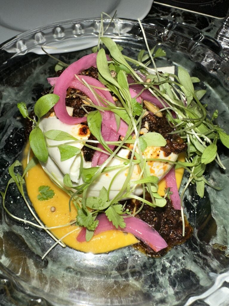 Burrata with sauce, sprouts, and picked onion