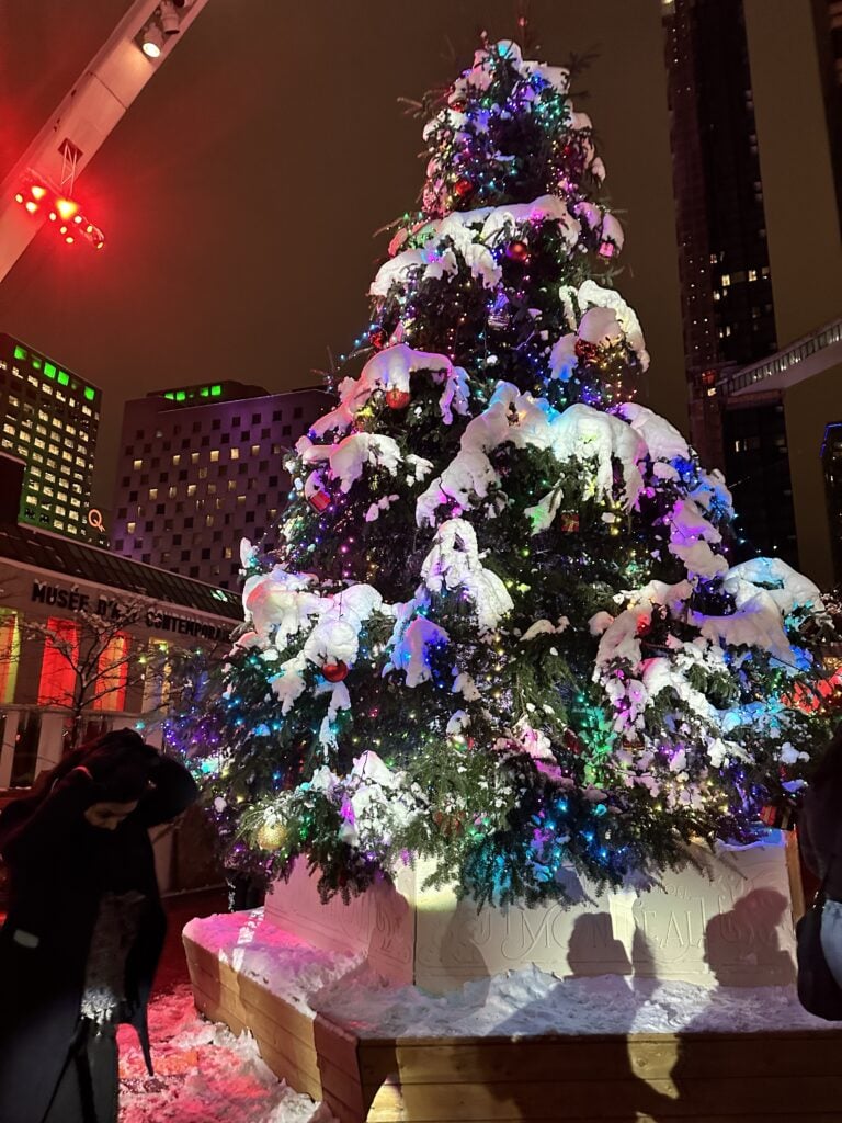 A Christmas tree with lights and snow on it