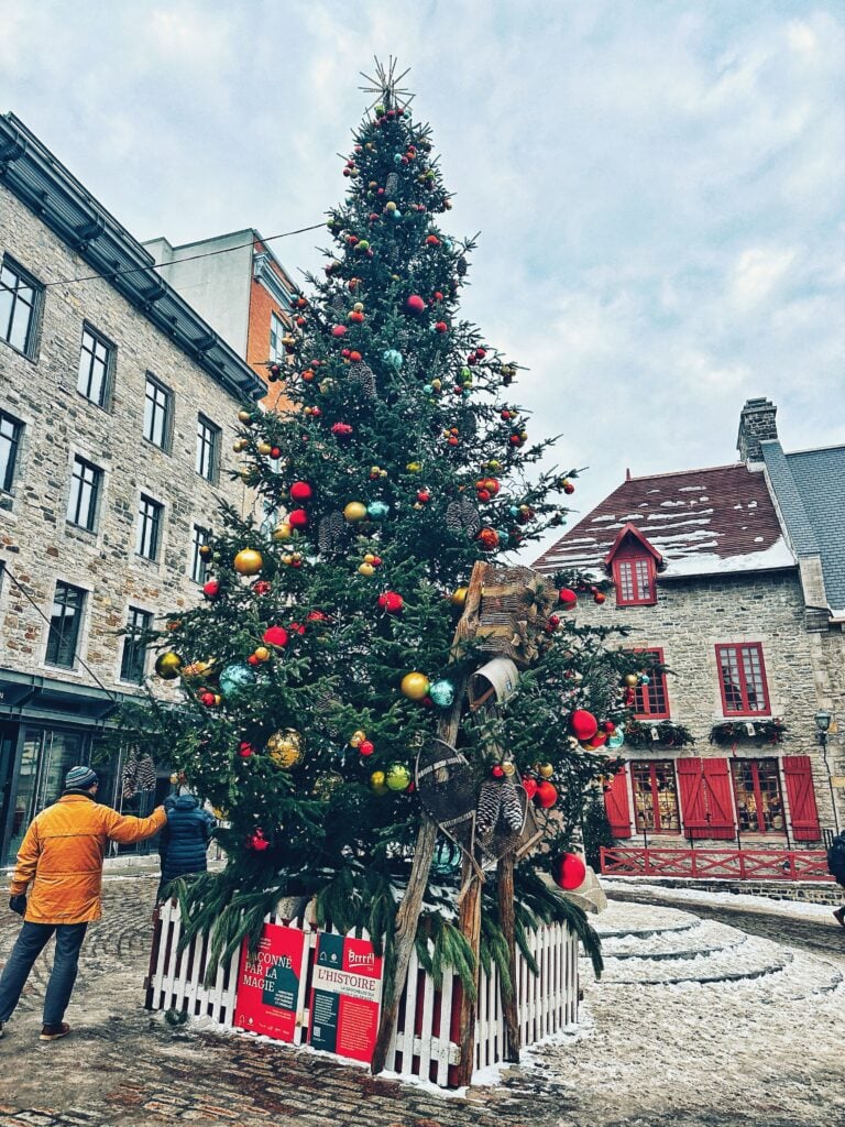 A Christmas tree in Old Quebec City
