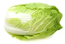 Napa cabbage