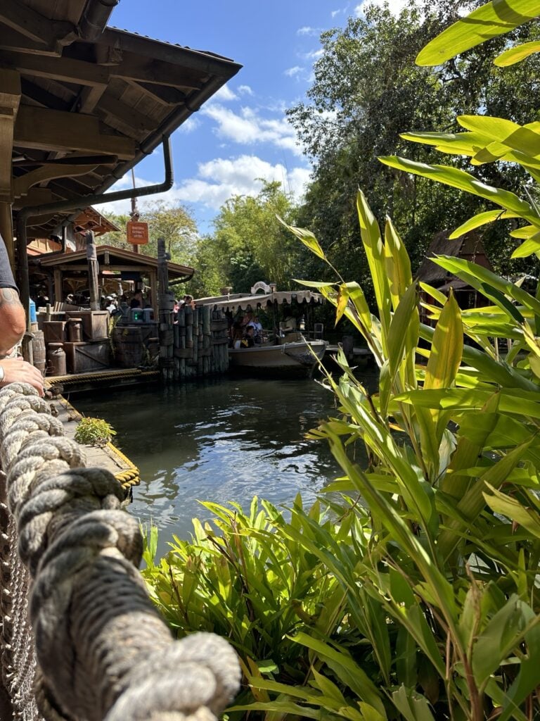 A picture taken from a rope bridge of water and plants near the Jungle Cruise ride