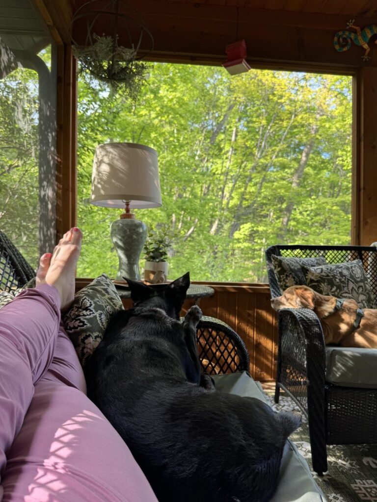 A point of view show of me lying on the couch next to my dog, Gus, looking out the window while my other dog, Daisy, has her head up on a different couch she's laying on. Trees can be seen through the window beyond.