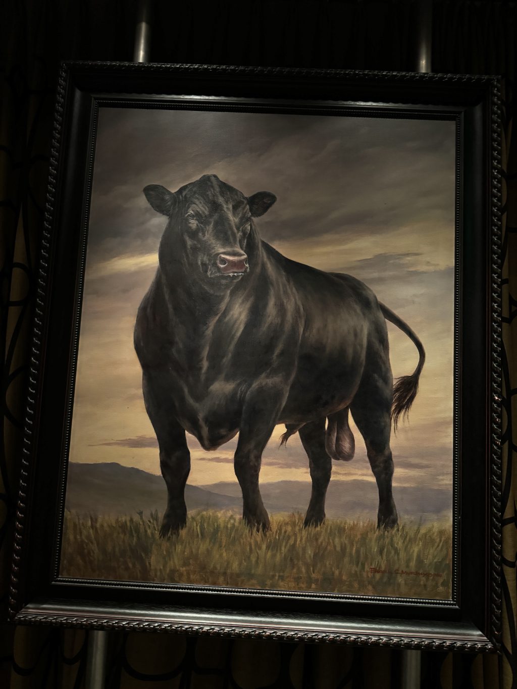 A portrait of a bull.