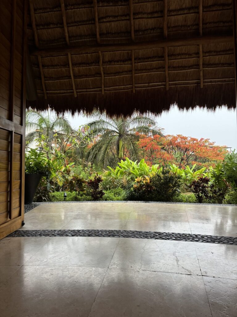A view of lush tropical plants from under a straw overhang.