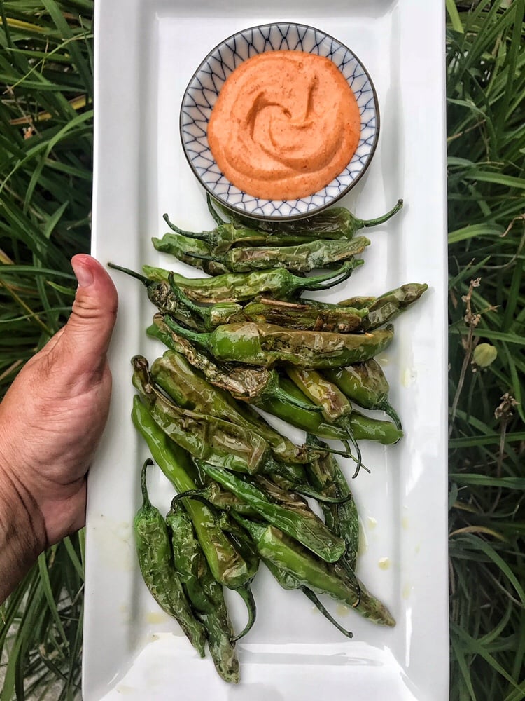 Shishito Peppers with spicy aioli.