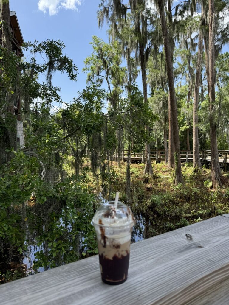 An iced coffee with whipped cream on a wooden railing overlooking trees in a swamp.