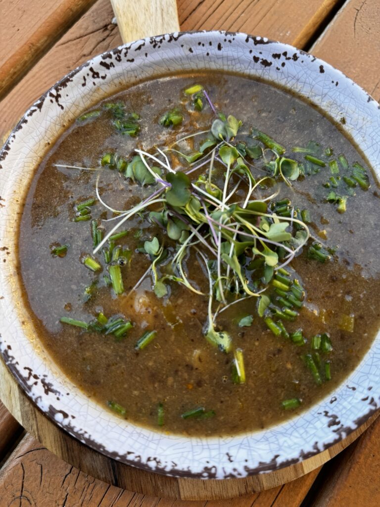 The finished mushroom and onion soup in a bowl topped with green onions and microgreens.