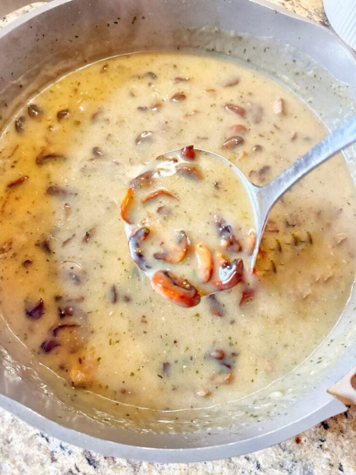 A ladle of delicious mushroom sauce